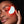Omnilux Eye Brightener
